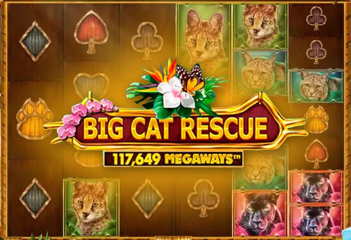 Ruleta online en vivo disponible en Bdmbetcasino para jugar.