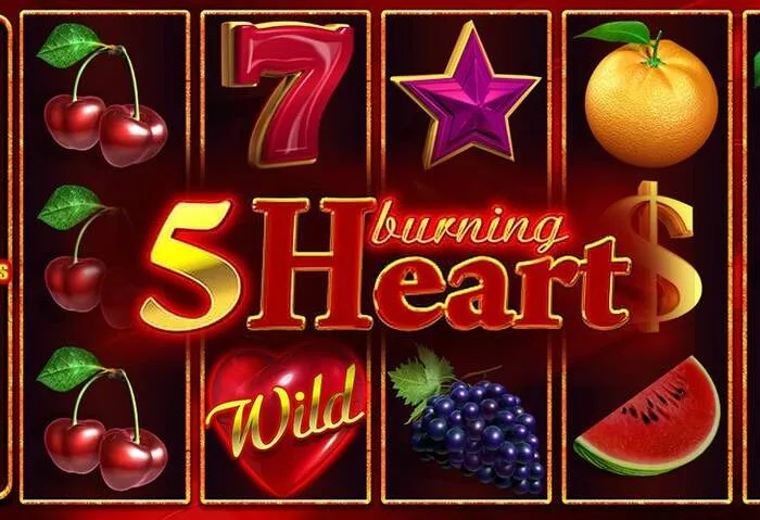 Secure login and fast payouts available at Bdmbetcasino.com
