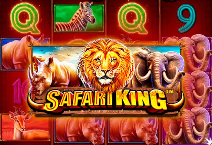 Aproveite os bônus exclusivos e as promoções do Bdmbetcasino para novas apostas.